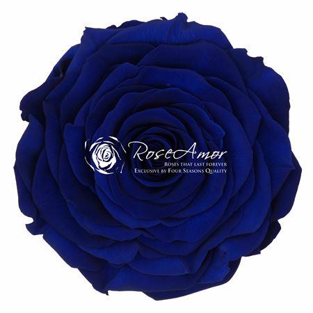 Rose stabilizzate - Blu metallizzato